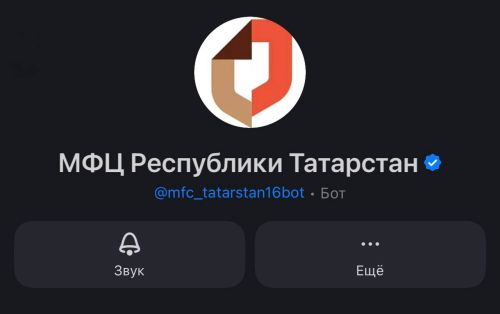 Жители Менделеевска могут подключиться к официальному чат-боту МФЦ в мессенджере MAX