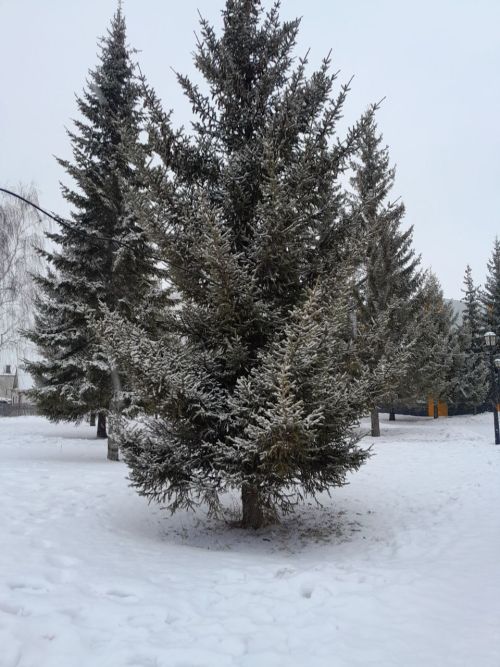 24 февраля в Менделеевске возможен небольшой снег
