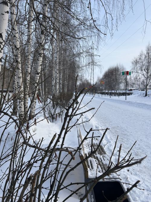 8 февраля в народном календаре: приметы и традиции