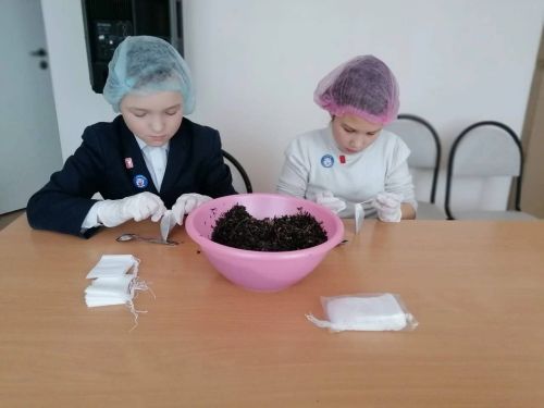 Учащиеся Брюшлинской школы готовят полезные чаи для участников СВО