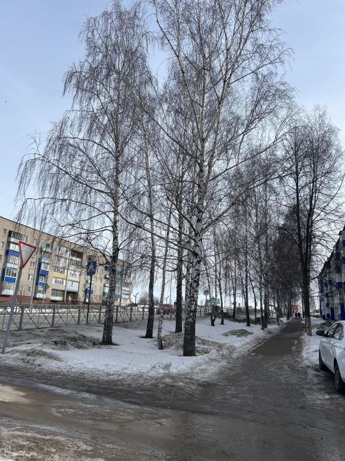 Жаворонки на пороге весны: народные обычаи и православные традиции 22 марта
