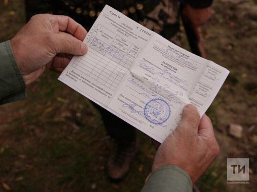 Татарстанцы могут подать заявление на получение разрешений на отстрел пернатой дичи