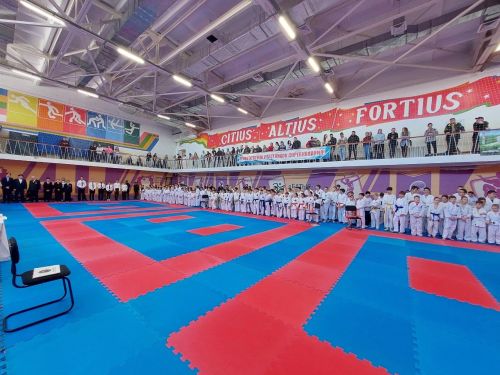 Команда Менделеевска заняла бронзу в Первенстве и Чемпионате РТ по восточному боевому единоборству