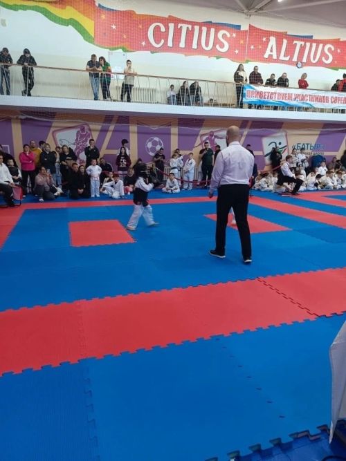 Команда Менделеевска заняла бронзу в Первенстве и Чемпионате РТ по восточному боевому единоборству