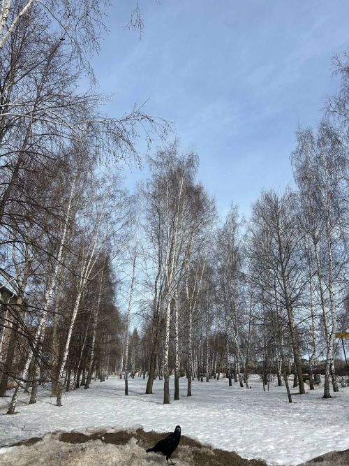 26 марта в Менделеевске облачно и ветрено
