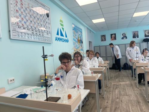 В Менделеевске проходит второй день олимпиады по химии
