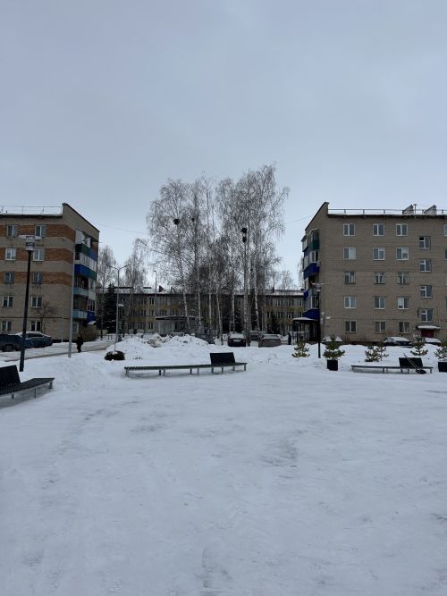 Народный календарь: Поликарпов день