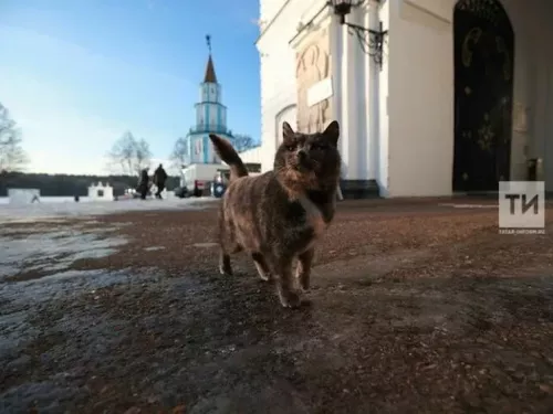 Синоптики сообщают о приходе весеннего тепла в Татарстан