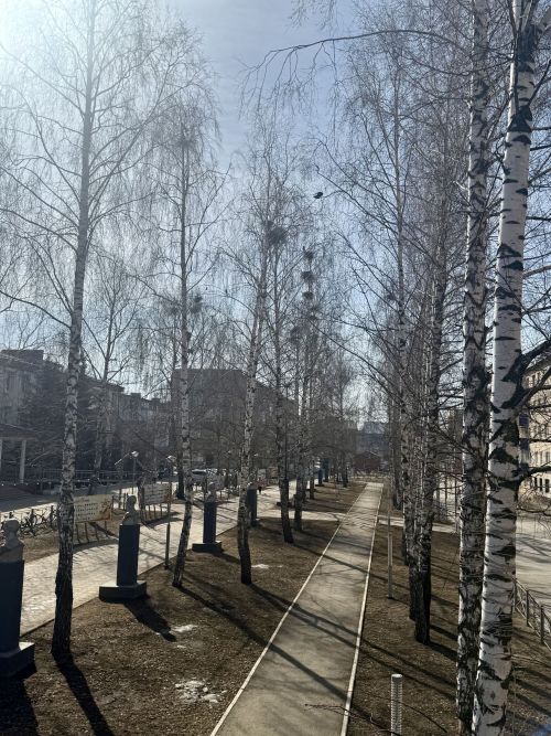 Коллектив «Менделеевских новостей» в Международный день птиц развесил патриотические скворечники на аллее Героев