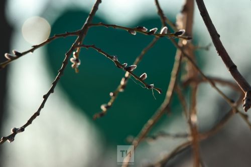 Что нельзя делать 1 апреля: старинные запреты и поверья