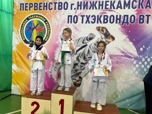 Команда из Менлелеевска взяла бронзу на соревнованиях по тхэквондо