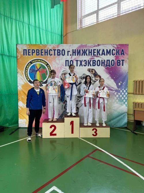 Команда из Менлелеевска взяла бронзу на соревнованиях по тхэквондо