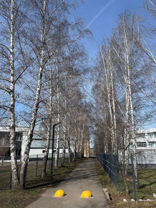 16 апреля в Менделеевске возможен небольшой дождь