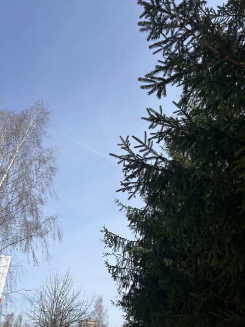 Евтихий Тихий: народные приметы на 19 апреля