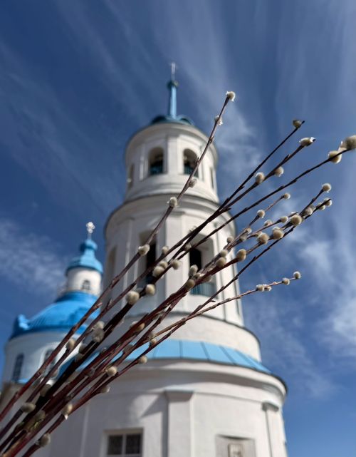 Богоявленский храм: как купцы Ушковы строили храм над Камой
