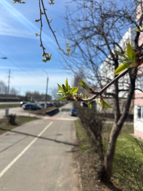 Запущено голосование за улучшение городской среды в Татарстане