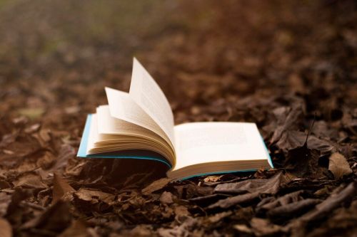 Евгений Кнутов из Менделеевска написал стихотворение