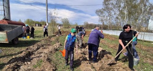 Патриотическая акция «Сад памяти» прошла в Татарских Челнах