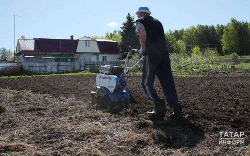 Готовим огород к встрече с растениями: простая инструкция по подготовке почвы