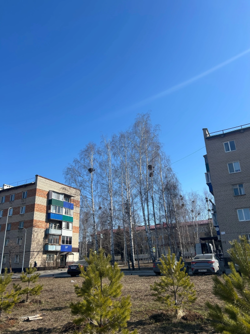 Майские праздники-2025: менделеевцев ждёт восемь дней отдыха