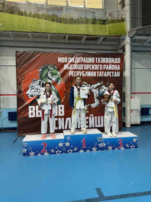 Менделеевские тхэквондисты заняли первое общекомандное место в турнире «Вызов сильнейших»