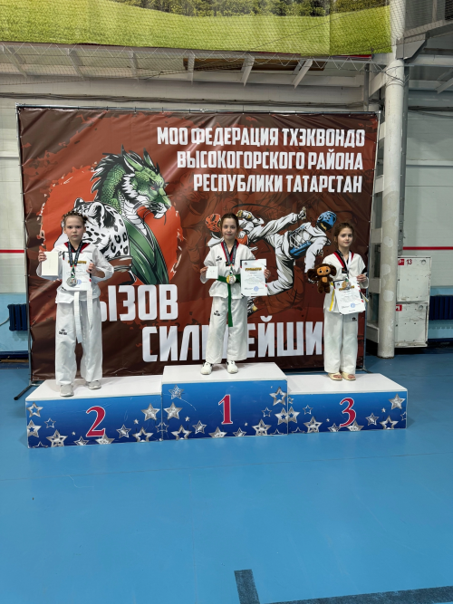 Менделеевские тхэквондисты заняли первое общекомандное место в турнире «Вызов сильнейших»