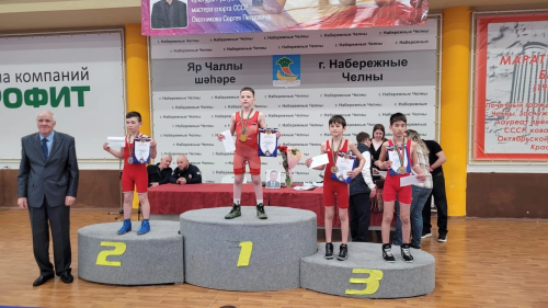 Менделеевские спортсмены завоевали медали в турнире по вольной борьбе