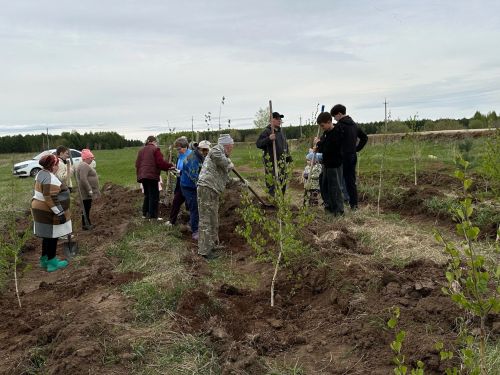 «Сад Памяти»: в Мунайкинском сельском поселении посадили 80 деревьев в честь 80-летия Победы