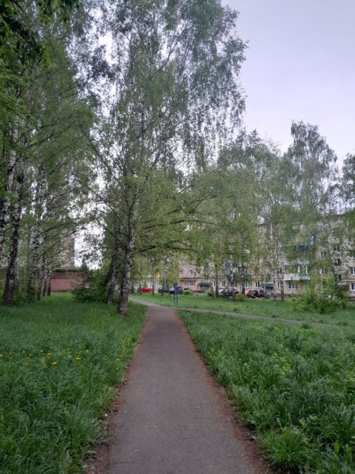 Днем 19 мая в Менделеевске ожидается сильный дождь