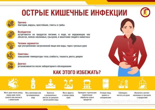 Необходимо проводить профилактику острых кишечных инфекций
