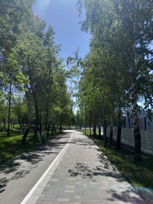 В ночь с 25 по 26 мая в Менделеевске ожидаются заморозки