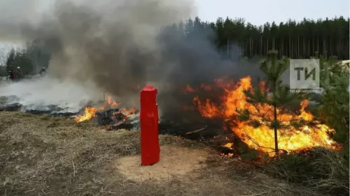 Высокая пожароопасность в лесах Татарстана: МЧС объявляет режим ЧС с 29 мая по 2 июня