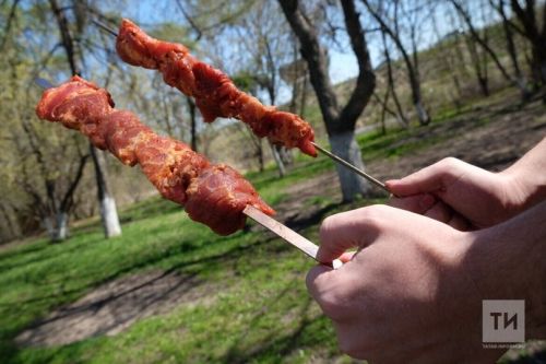 В Госдуме предлагают запретить одноразовые мангалы