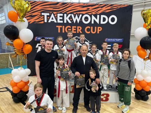 Тхэквондисты из Менделеевска завоевали 15 медалей на турнире «Tiger Cup» в Ульяновске