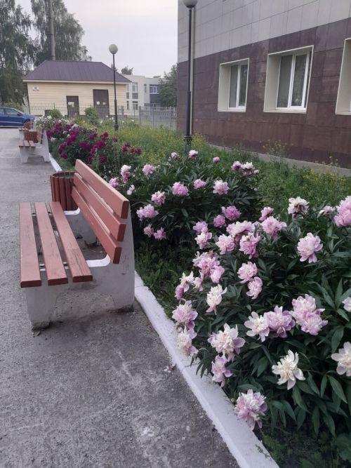 17 июня в Менделеевске возможен дождь