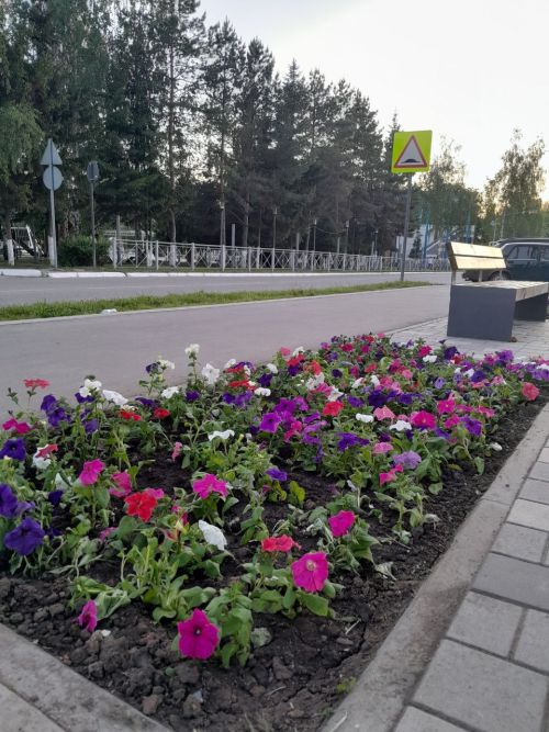 19 июня в Менделеевске возможен небольшой дождь