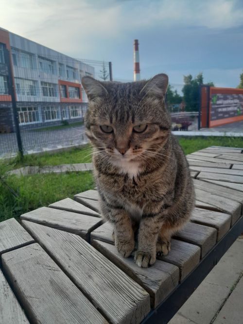 26 июня в Менделеевске ожидаются дожди