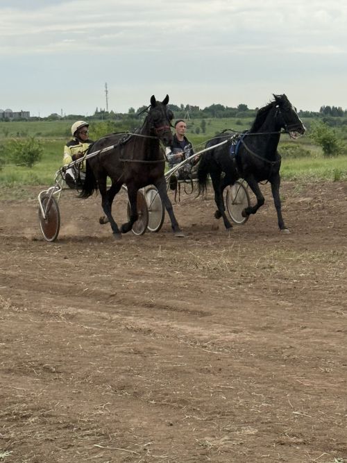 Сабантуй в Менделеевске начался со зрелищных конных скачек