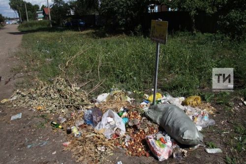 Незаконный выброс мусора: какие штрафы ждут нарушителей