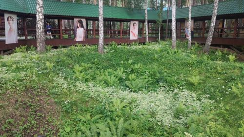 Поездка клуба любителей танца «Вдохновение» в Екатеринбург: экскурсии, яркие эмоции и высшая награда