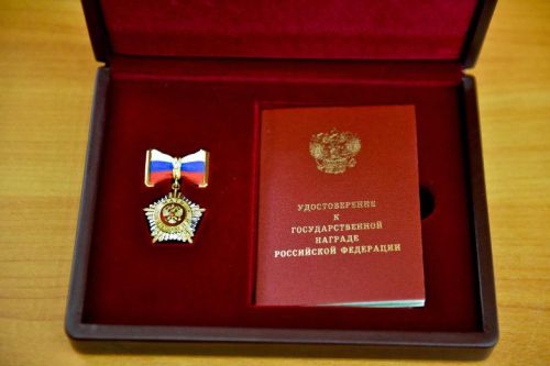 Матерей-героинь приравняют к Героям России и Героям Труда