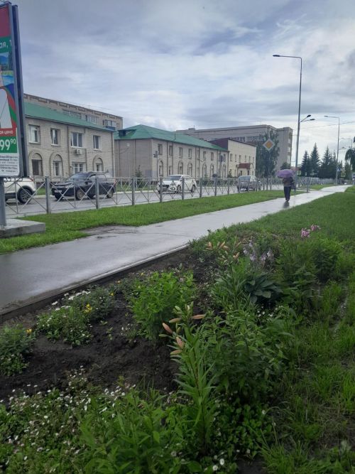 23 июля в Менделеевске ожидаются дожди