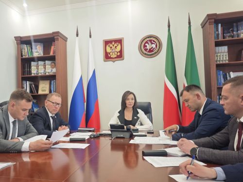 Альфия Когогина обсудила реализацию программы социальной газификации в Татарстане