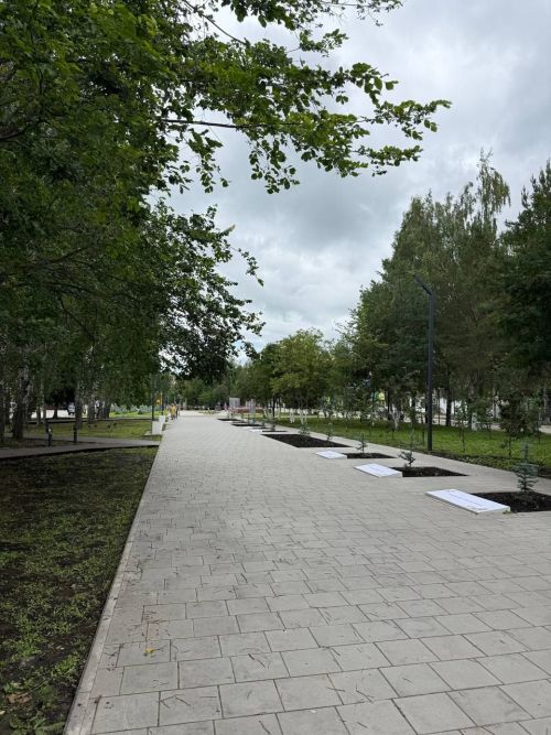 В России стартует конкурс «Лучшая муниципальная практика» с призовым фондом в 1 миллиард рублей