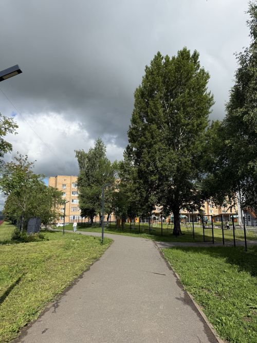 В субботу в Менделеевске ожидаются дожди