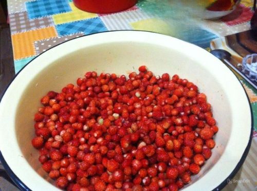 Как вкусно съесть землянику: лучшие идеи к Дню земляники