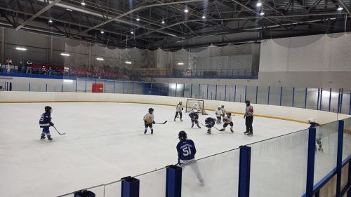 Менделеевские хоккеисты возобновили тренировки на льду