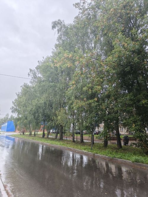 19 августа в Менделеевске ожидается дождливая погода