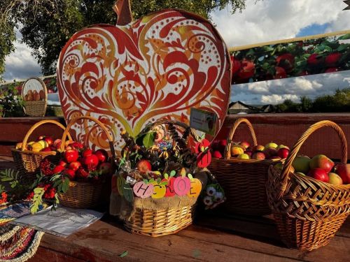 В Татарских Челнах отметили День села и Яблочный спас