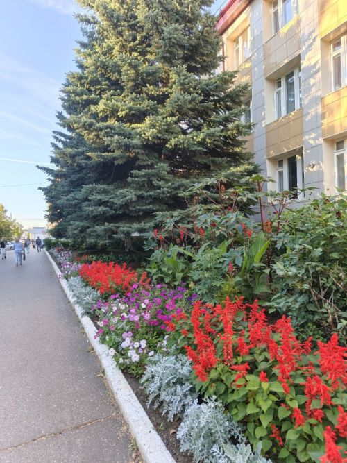 Прогноз погоды на 23 августа в Менделеевске